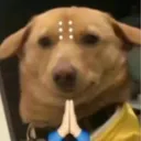 hell no test Discord server icon