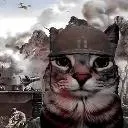 Warzone 24