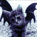 Stray Bats