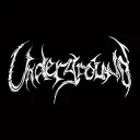 The Underground server icon