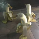 Goose 18+