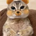 /meimei ྀི        scl     .     stox