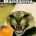 †༒ 𝕽𝖆𝖇𝖎𝖉 𝖂𝖎𝖋𝖎 ༒† Discord server icon