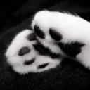 •     𝑹𝒂𝒊𝒏y ᯓ★