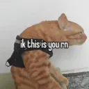 chat we ball