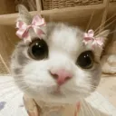 Looking for a bf