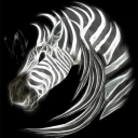BaldZebra's Herdcord Discord Server Icon