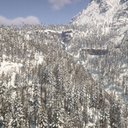 Frozen Heart RP (wof frostpunk AU)