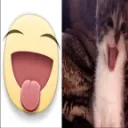 xxxxxx
