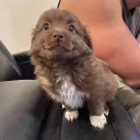 FRIENDS HOORAYY