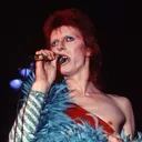 Sophia's David Bowie Simp Club