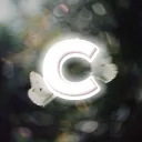Cataracta