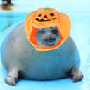 Server Icon