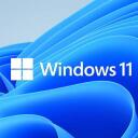 Windows 11's GANG server icon