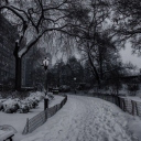 winter