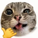 DiscilplineSquad™