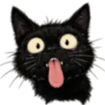 🧸貓餅村 Discord server icon