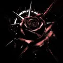 𝕭𝖑𝖆𝖈𝖐𝖙𝖍𝖔𝖗𝖓 𝕽𝖔𝖘𝖊 discord icon