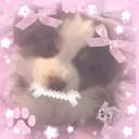 Puppy girls Discord server icon