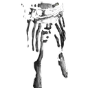 𝙣𝙤𝙡𝙖 discord icon