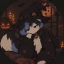 Midnight Paws