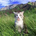 [Rus]Toru Empire