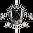 BRUCE FRONT Discord server icon