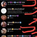 Mega and group's server discord icon