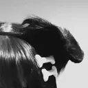 rawr
