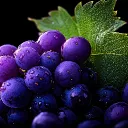 Mega 🍇 [ Verified] discord icon