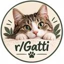 r/Gatti
