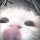 Server icon