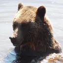 Sparko's Bear Party ฅʕ•̫͡•ʔฅฅʕ•̫͡•ʔฅฅʕ•̫͡•ʔฅฅʕ•̫͡•ʔฅ