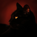 Void Server Icon