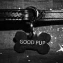 The Pet Pen Discord server icon