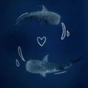 Server icon