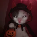 CatsNStuff 🎃 discord icon