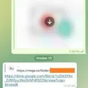 Mega  owner discord icon