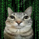 Binary Horizon Server Icon