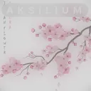 Aksilium