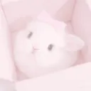 𝒥𝒶𝓏’𝓈 𝒹ℴ𝓁𝓁𝒽ℴ𝓊𝓈ℯ discord icon