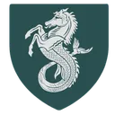 Server icon