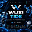 Wuxi tide subsidiaries server icon