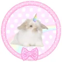 Server icon