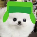 puppy kyle tribute Discord server icon