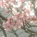 ෆ˚