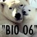 Biologi 06