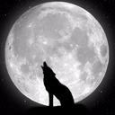N1ght🐺🐺🐺🐺W0lves Discord server logo