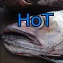 Haus of Tuna