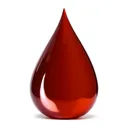 BloodboileRtv Community